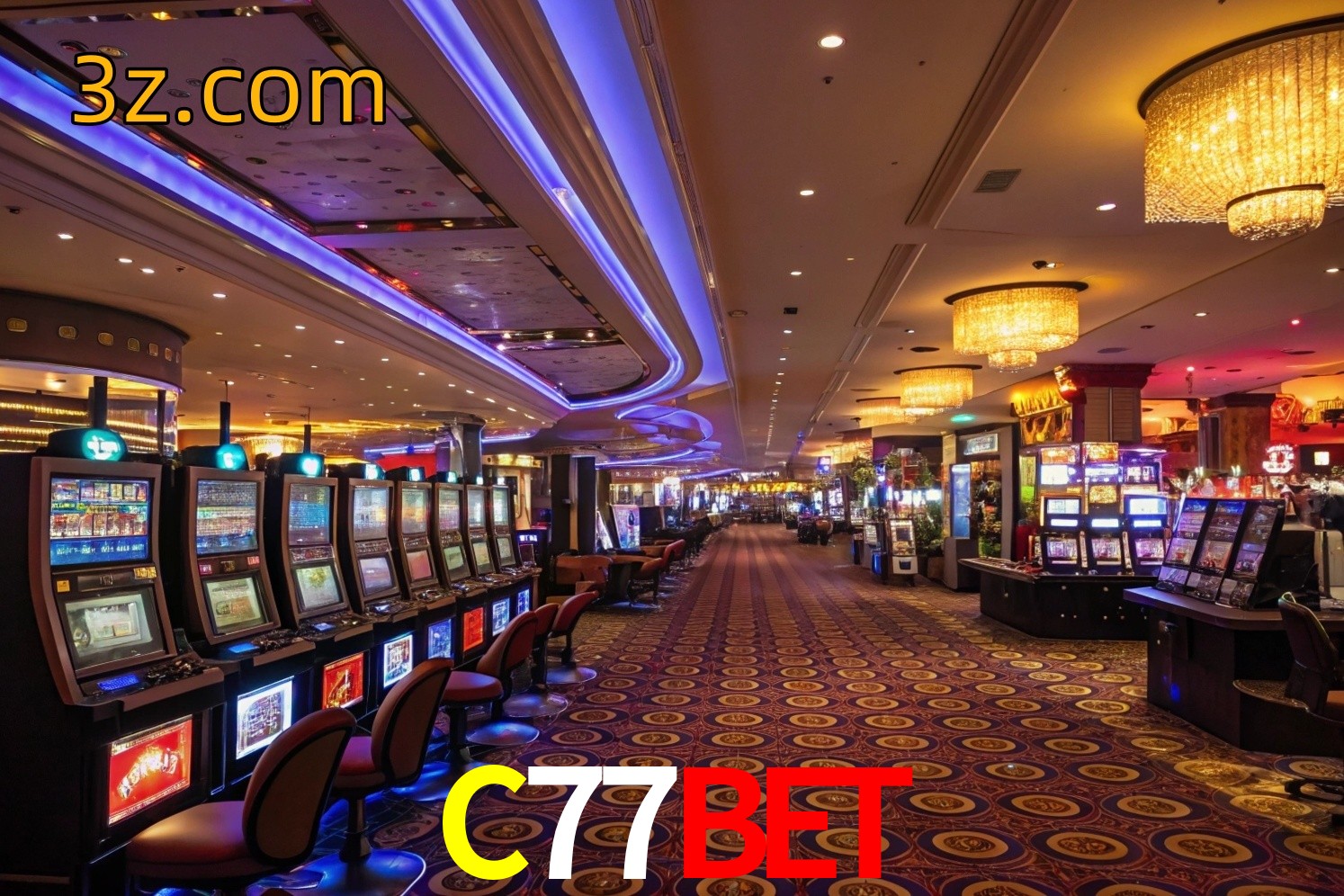  C77Bet
